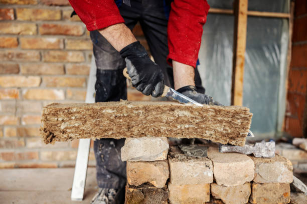 Best Insulation Replacement Services  in Onalaska, TX